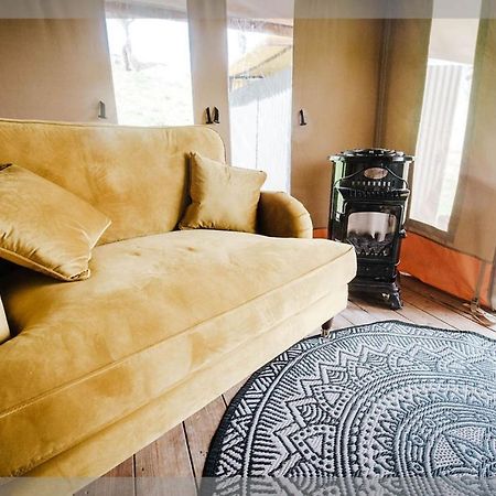 Ty Llewelyn Glamping & Camping Hotell Llanidloes Exteriör bild