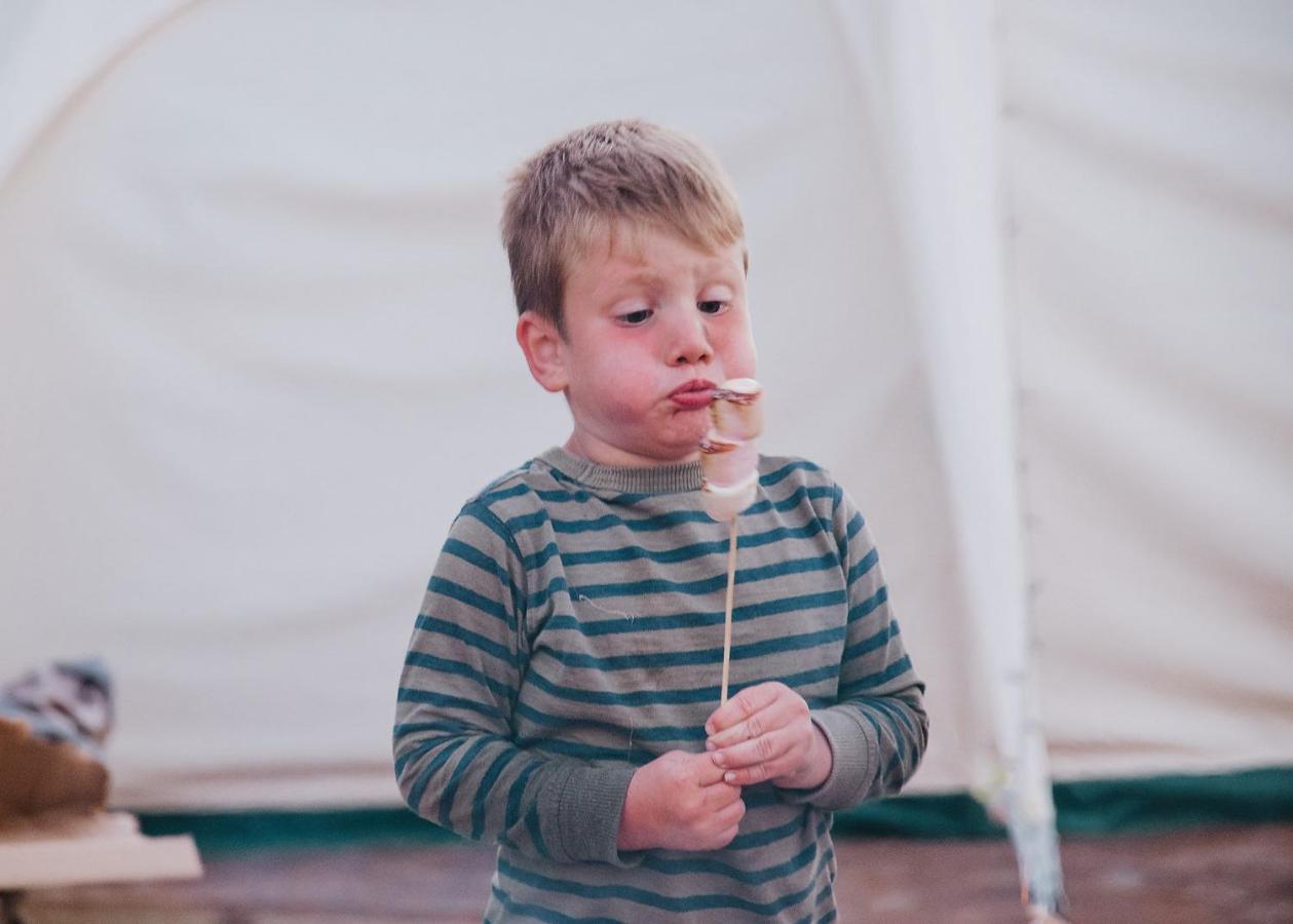 Ty Llewelyn Glamping & Camping Hotell Llanidloes Exteriör bild